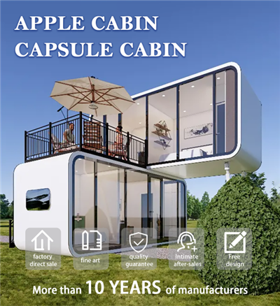 Avión de la cabina de Apple en venta